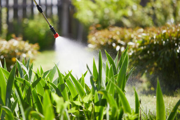 24/7 Emergency Mosquito Control experts in Louisa, KY