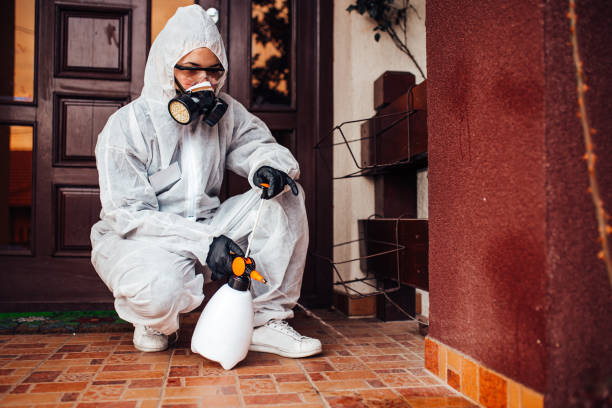 Reliable Mosquito Control contractor in Louisa, KY by Show Me Pest Control